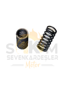 Mondıal 150Hs Supap Yayı Ic Orijinal